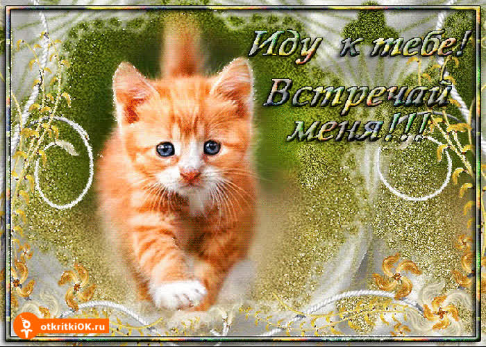 Картинка иду к тебе картинка
