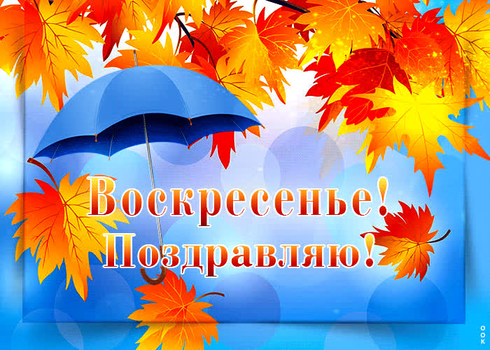 Picture игривая анимационная открытка воскресенье! поздравляю!