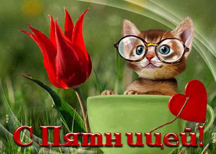 Picture исключительная открытка с котенком с пятницей