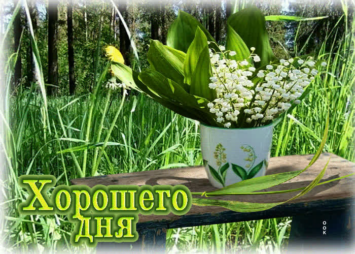 Postcard искренная и лёгкая весенняя гиф-открытка хорошего дня