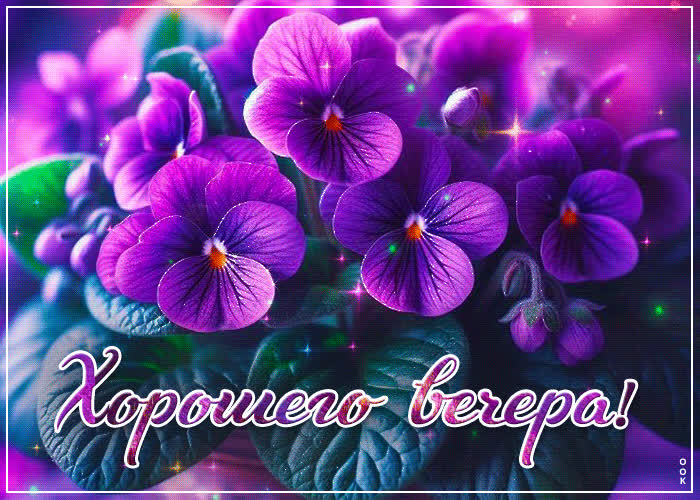 Picture искренняя гиф-открытка хорошего вечера