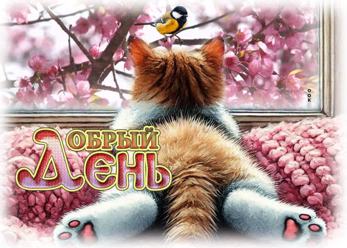 Postcard искренняя весенняя гиф-открытка добрый день