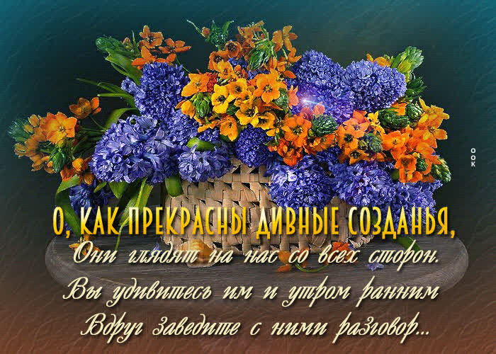 Postcard изумительная открытка о, как прекрасны дивные созданья