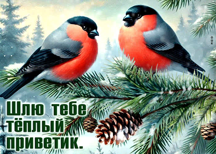 Picture изысканная гиф-открытка шлю тебе теплый приветик!