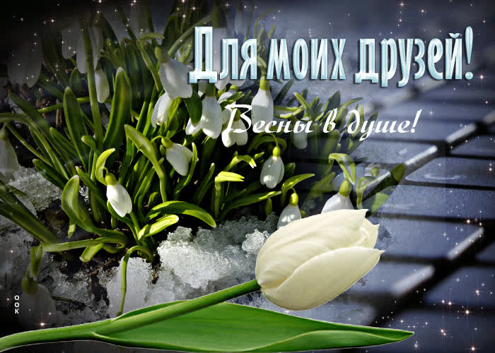 Postcard изысканная открытка весны в душе! для моих друзей!