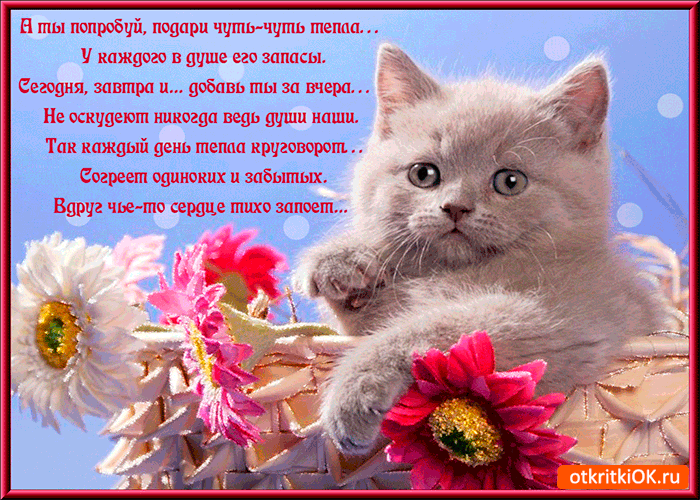Картинка я подарю тебе чуточку тепла