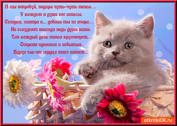 Картинка я подарю тебе чуточку тепла