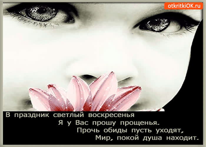 Картинка я у вас прошу прощенья