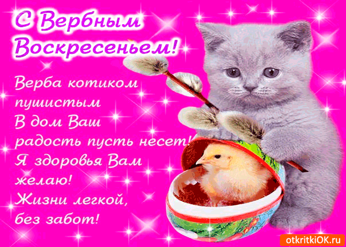 Картинка я здоровья вам желаю - с вербным воскресеньем