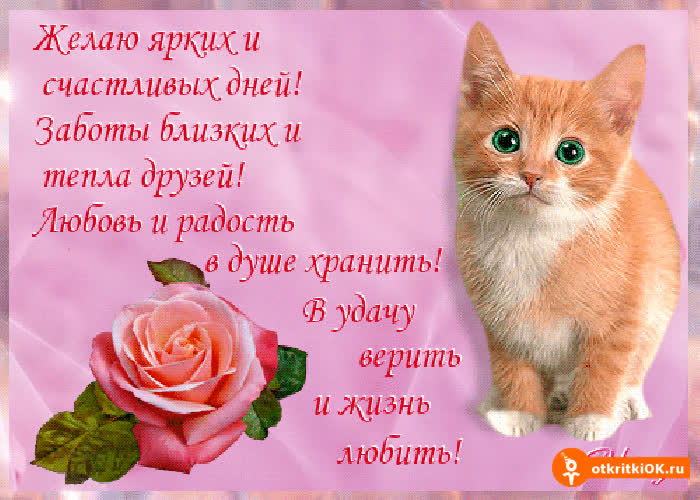 Картинка желаю ярких и счастливых дней