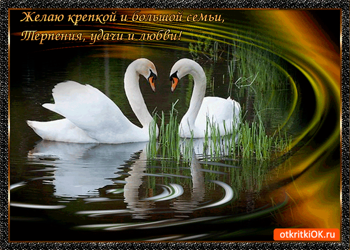 Открытка желаю крепкой и большой семьи