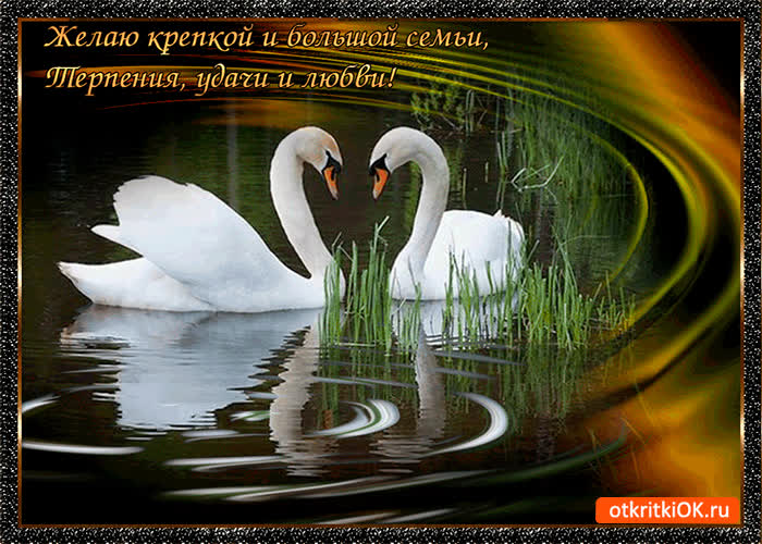 Картинка желаю крепкой и большой семьи