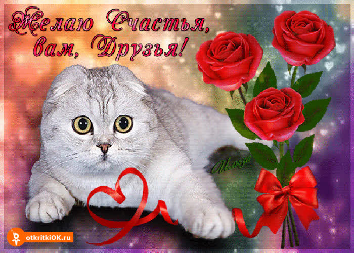 Картинка желаю счастья вам друзья