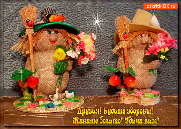 Картинка живите богато друзья