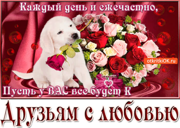 Картинка каждый день и ежечасно