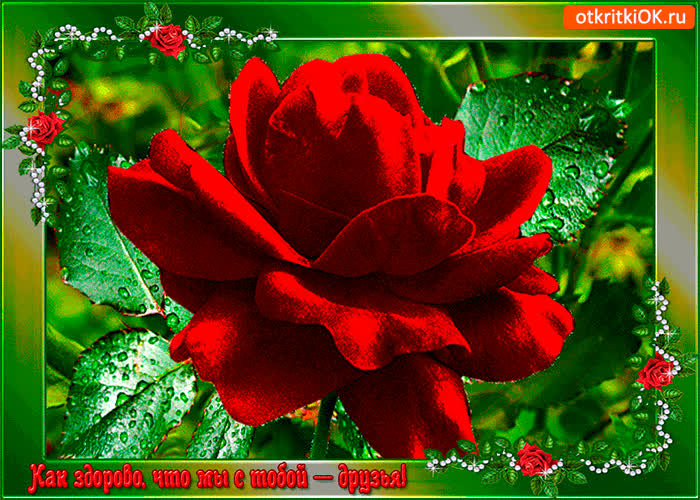 Картинка как же здорово что мы друзья