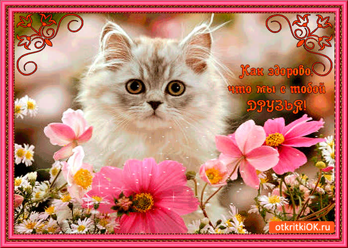 Картинка как здорово, что мы с тобой друзья