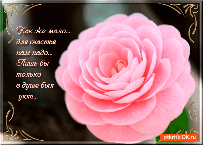 Открытка как же мало для счастья нам надо