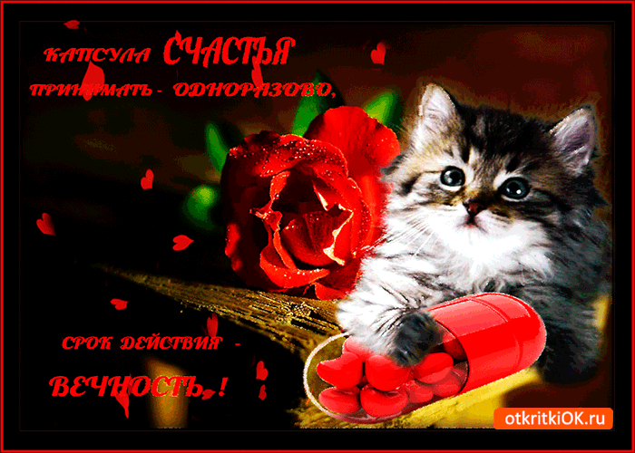 Открытка капсула любви и счастья