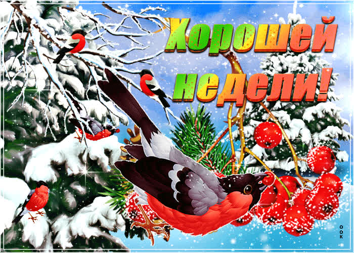Картинка картинка анимашка хорошей недели