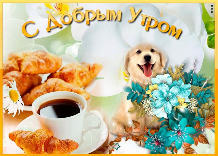 Картинка картинка доброе утро песик