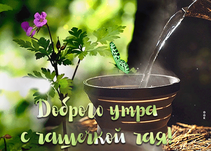 Картинка картинка доброе утро с чашечкой чая