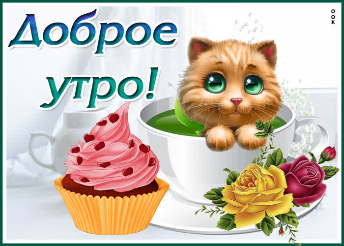 Открытка картинка доброе утро с котиком