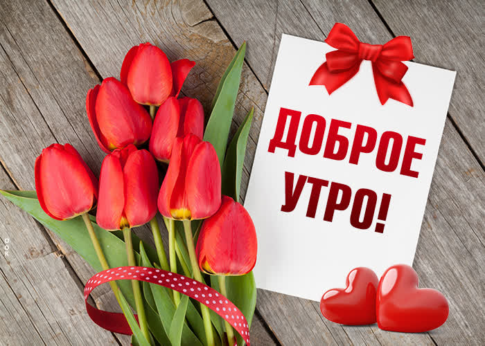 Картинка картинка доброе утро с красными тюльпанами