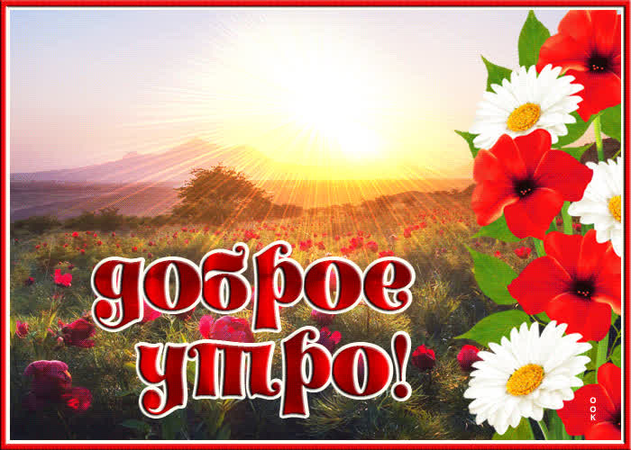 Открытка картинка доброе утро с лучами солнца