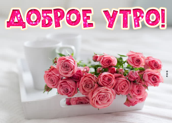 Картинка картинка доброе утро с розами