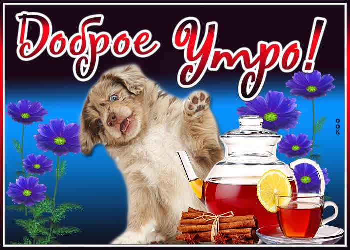 Картинка картинка доброе утро с щеночком
