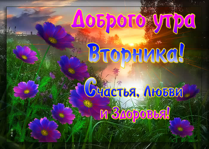 Картинка картинка доброе утро вторника с пожеланиями