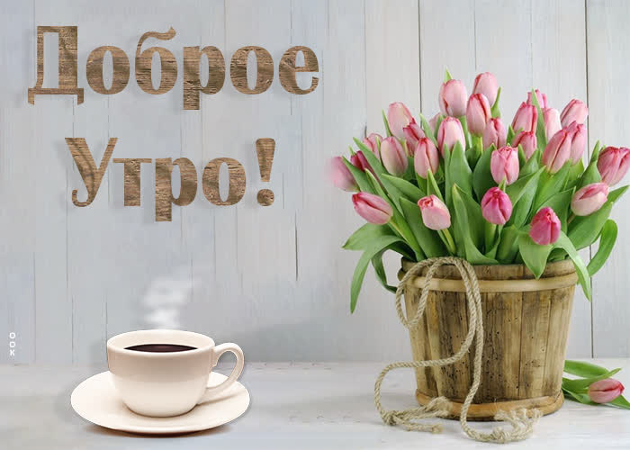 Картинка картинка доброго утра с охапкой тюльпанов
