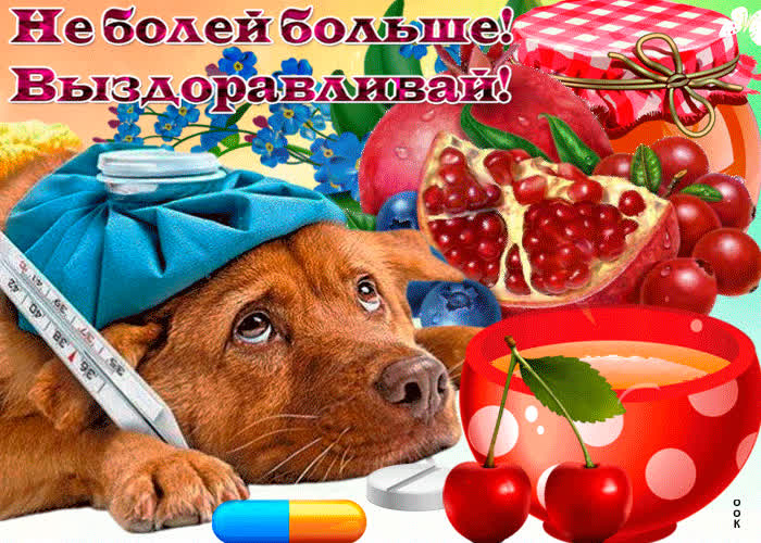 Картинка картинка гиф выздоравливай