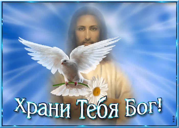 Картинка картинка картинка храни тебя бог