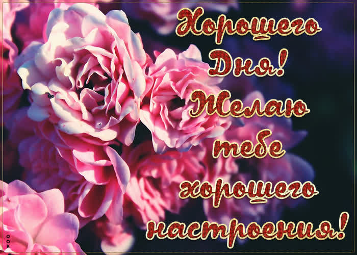 Открытка картинка хорошего дня с нежными цветами