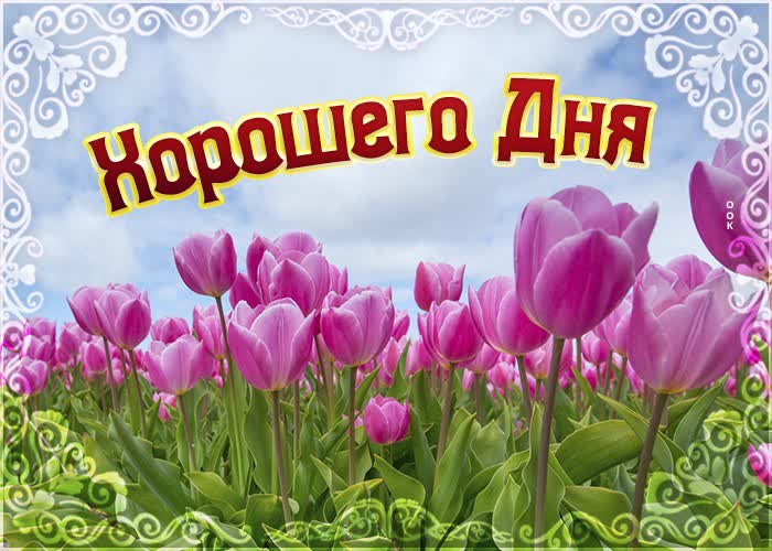 Открытка картинка хорошего дня с тюльпанами