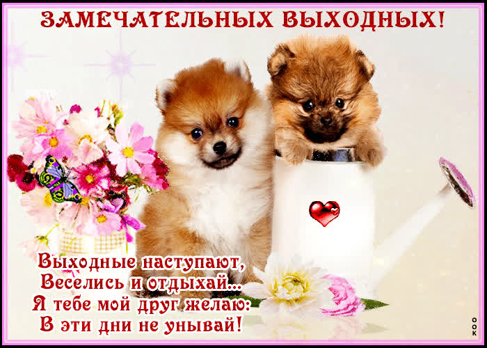 Картинка замечательных выходных!