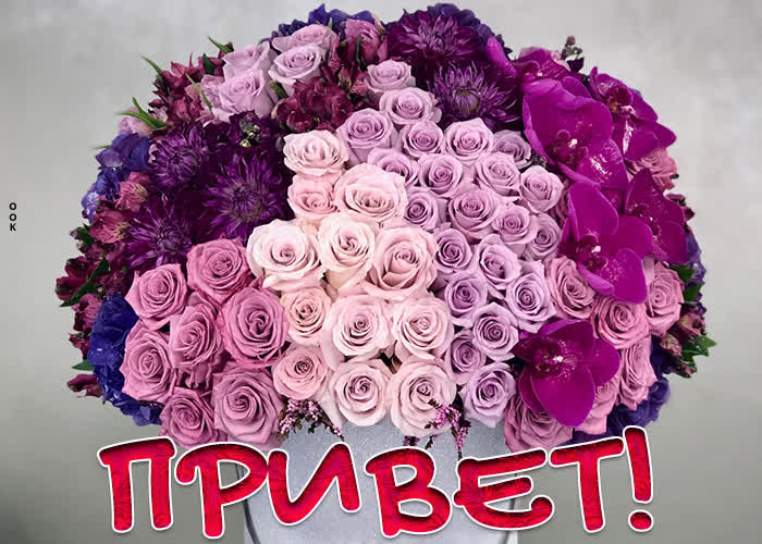 Картинка картинка привет, для друзей моих букет