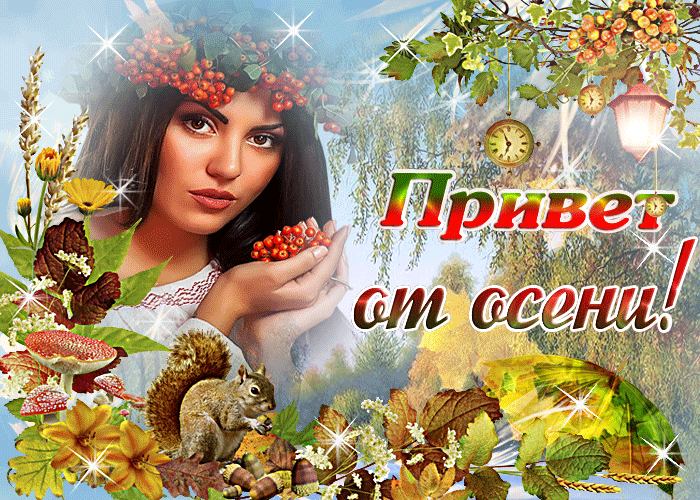 Картинка картинка привет от осени