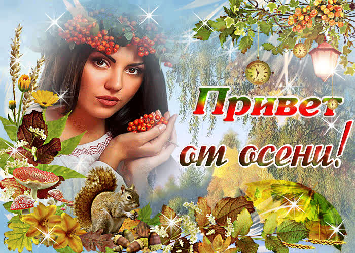 Картинка картинка привет от осени