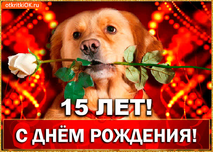 Картинка картинка  с днём рождения 15 лет