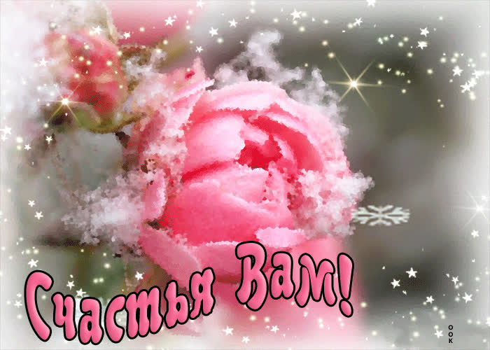 Картинка картинка с цветами со снегом