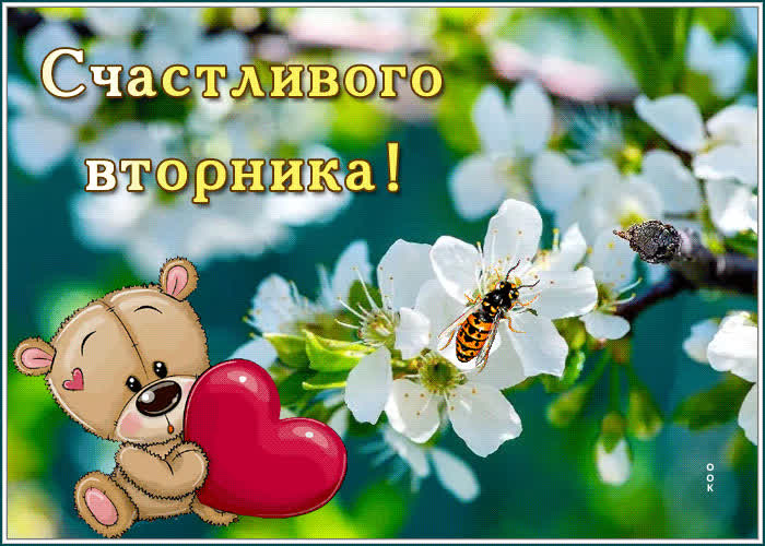 Картинка картинка счастливого вторника