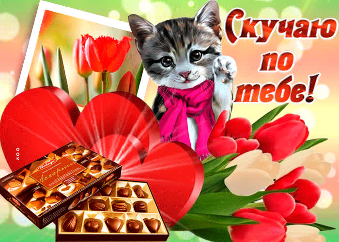 Картинка картинка скучаю с котиком