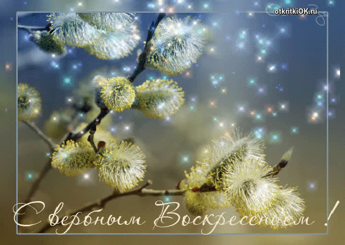 Картинка картинка вербное воскресенье
