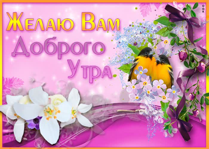 Картинка картинка желаю вам доброго утра
