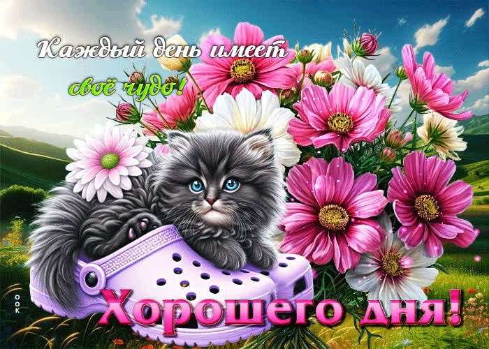 Picture каждый день имеет свое чудо! хорошего дня
