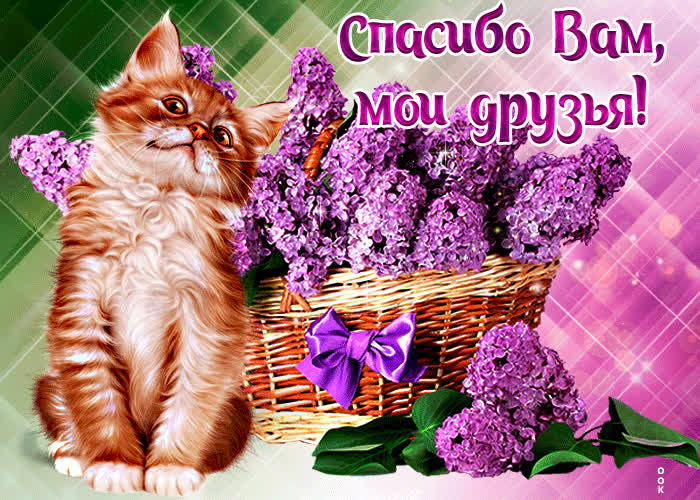 Открытка хорошая открытка спасибо вам, мои друзья