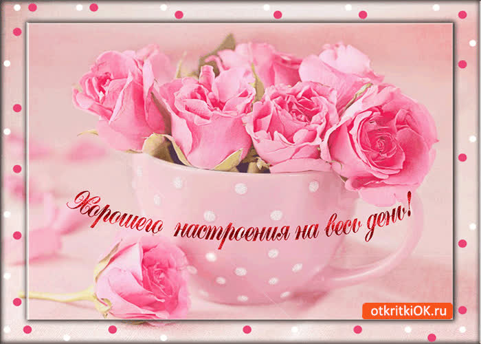 Картинка хорошего настроения на весь день!